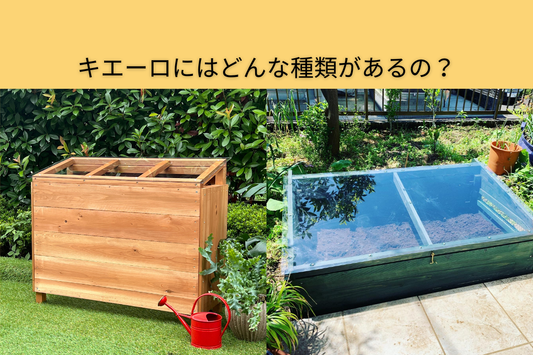 キエーロにはどんな種類があるの?
