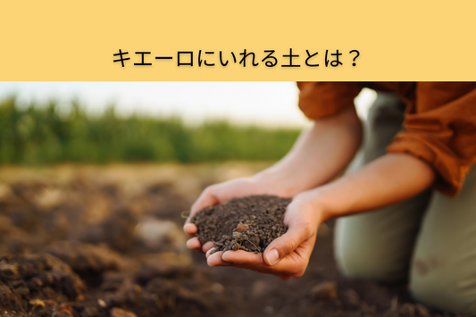 キエーロにいれる土とは?