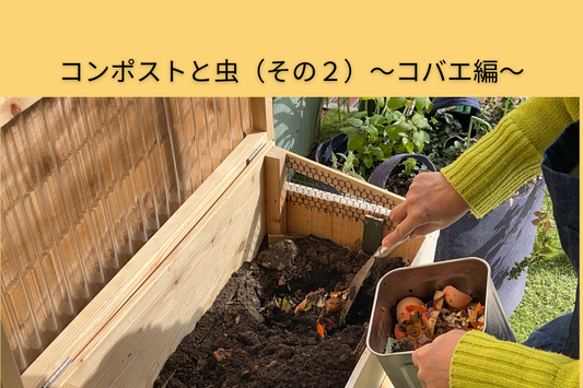 キエーロにコバエが出た時の対処法とは？