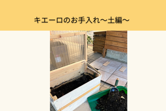 キエーロのお手入れをしてみましょう〜土編〜