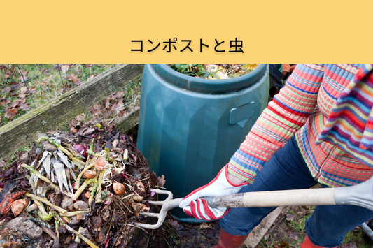 コンポストと虫　