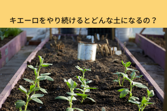 キエーロをやり続けるとどんな土になるの？（慶應大学研究結果より）